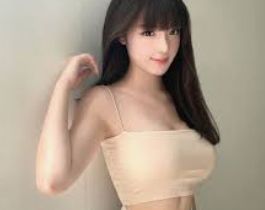 介绍内容